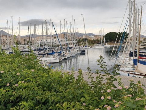 Sailing yachts moored in a marina in Palermo – SailorOne