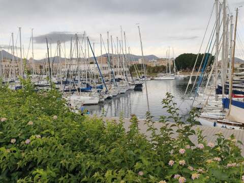Sailing yachts moored in a marina in Palermo – SailorOne